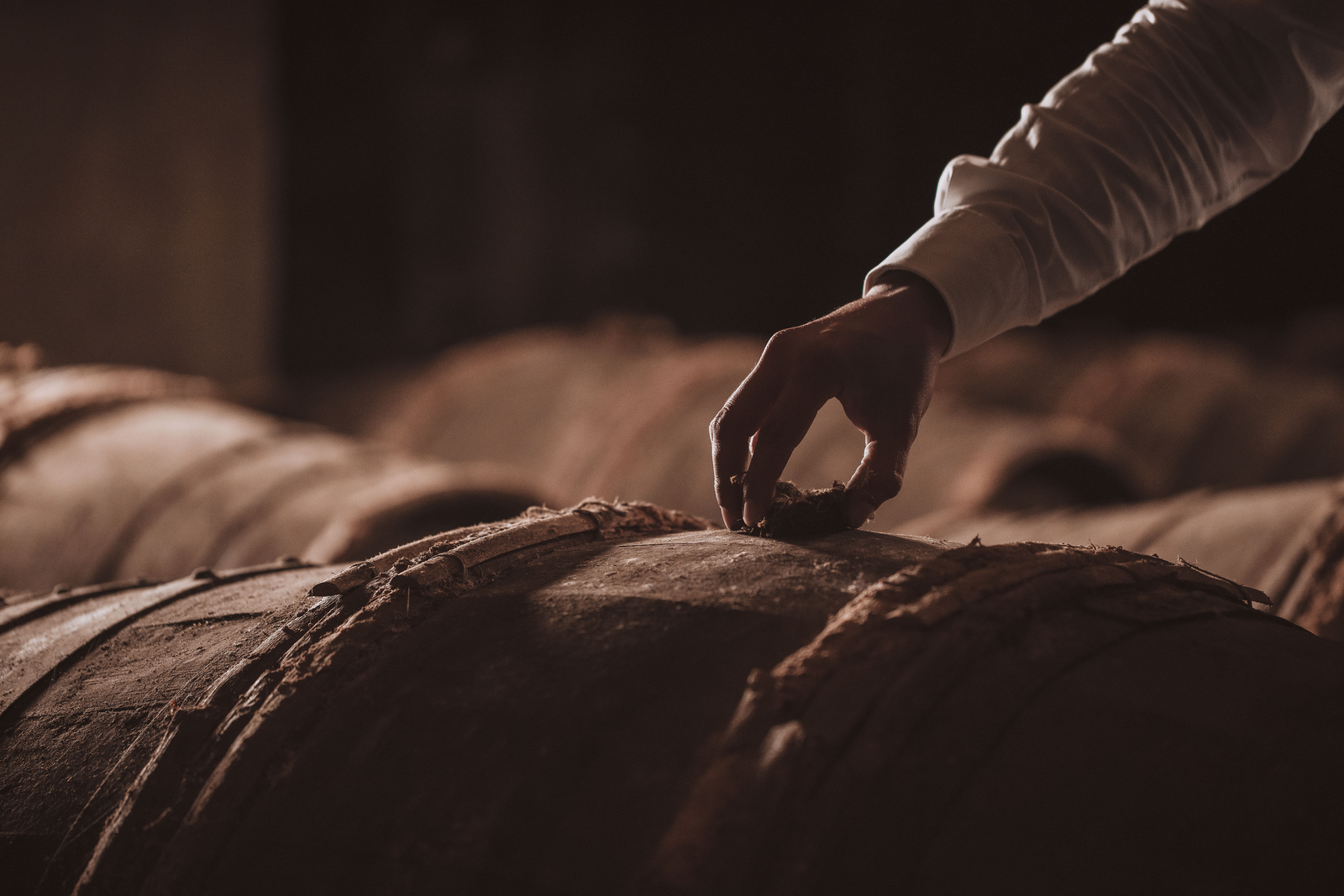 Le secret derrière les tierçons LOUIS XIII